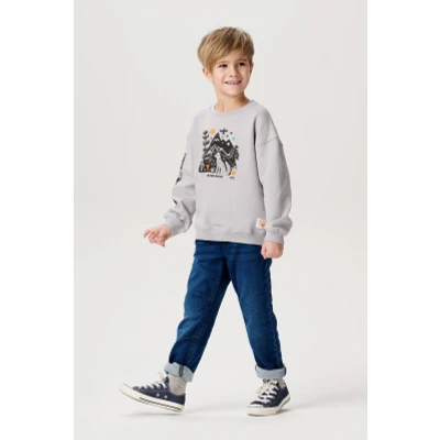 Image de Sweater Hugli Silver Scone 134
