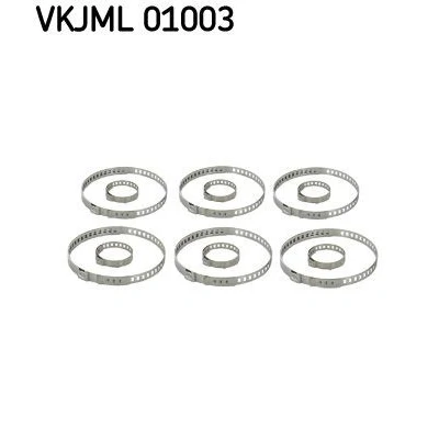 Afbeelding van Assortiment, slangklem SKF VKJML 01003