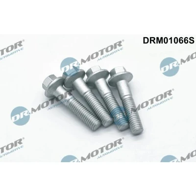 Afbeelding van Schroef, inspuitstukhouder Dr.Motor Automotive DRM01066S