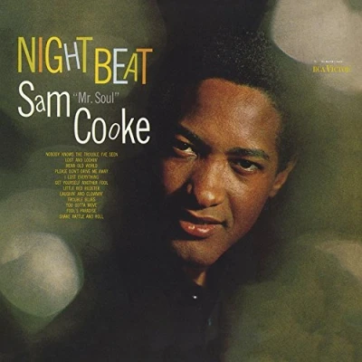 Afbeelding van Cooke Sam Night Beat