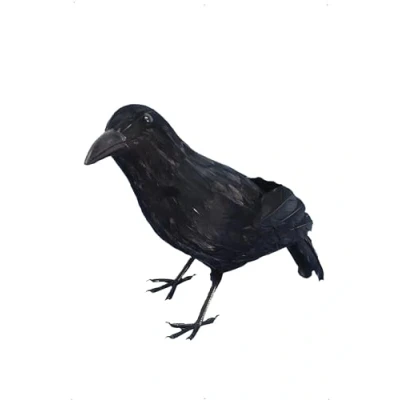Afbeelding van Dressing Up &amp; Costumes Halloween Crow
