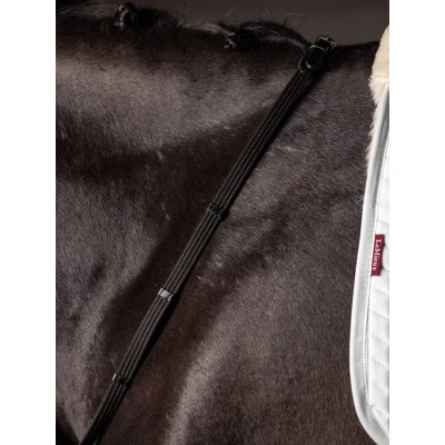 Afbeelding van LeMieux Teugels Webbed Continenal Bruin/Zilver