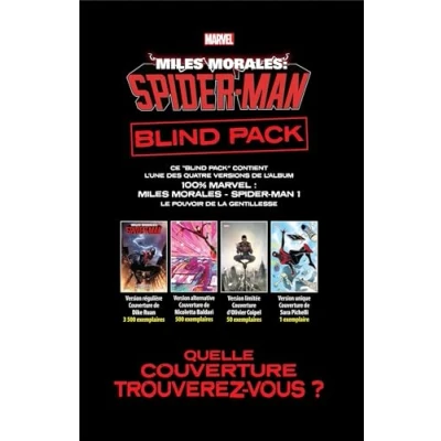 Afbeelding van Miles morales,01