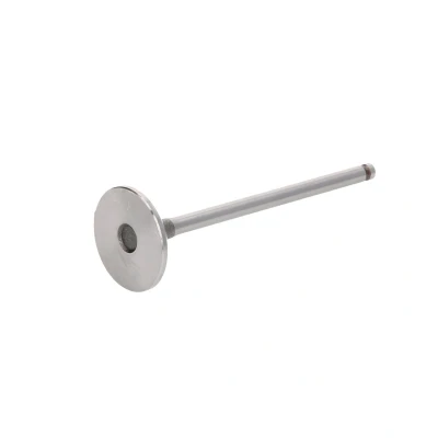 Afbeelding van FRECCIA R6805/S Inlaatklep 29,1 Klepsteeleind gehard CITROËN: C3 II, Berlingo II Van, PEUGEOT: 2008 Estate, 208 I Hatchback