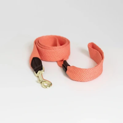 Image de Kentucky Laisse pour Chien Jacquard Neon Orange 140cm