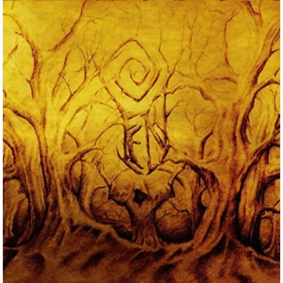 Afbeelding van Fen Malediction Fields (2 LPs)