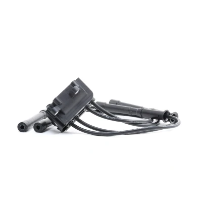 Afbeelding van Ngk D Bobine 48007