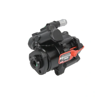 Afbeelding van Lauber Servopomp 55.5213