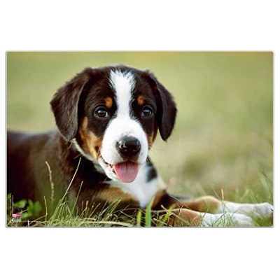Afbeelding van Veloflex 4651113 Bureauonderlegger voor puppy&#039;s, 40 x 60 cm, antislip, wasbaar, met transparante anti reflecterende beschermfolie, bureauonderlegger, schilderonderlaag, knutselmat