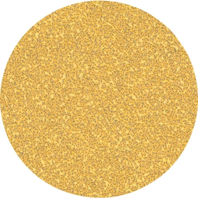Image de BOSCH 2608900951 Feuille abrasive Expert pour meuleuse d&#039;angle C470 Best le bois et la peinture, diamètre 125 mm, grain 40