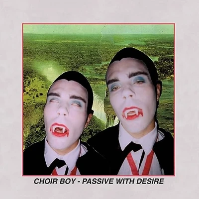 Afbeelding van Choir Boy Passive With..
