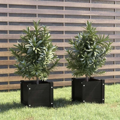 Afbeelding van Plantenbakken 2 st 31x31x31 cm massief grenenhout zwart