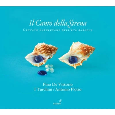 Afbeelding van Pino De Vittorio, Cappella Turchini Il Canto della Sirena (3 CD)