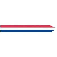 Afbeelding van Nederlandse wimpel 350cm
