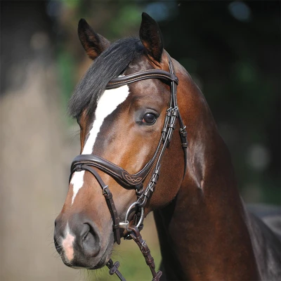 Image de Kavalkade Bridon Ivy Marron Cob