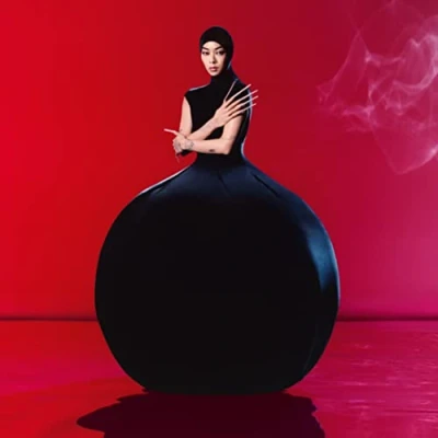 Afbeelding van Rina Sawayama Hold The Girl (LP)