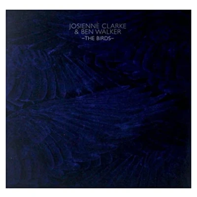 Afbeelding van The Birds (12&quot; Vinyl Single)
