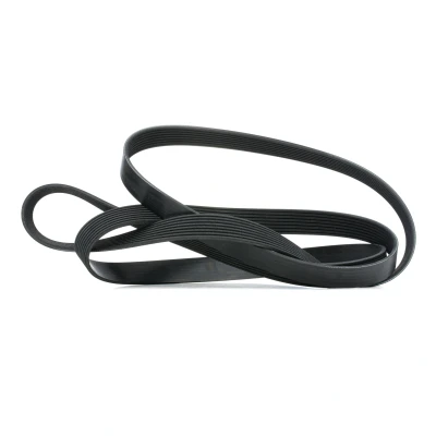 Afbeelding van Blue Print Poly V riem AD08R2485