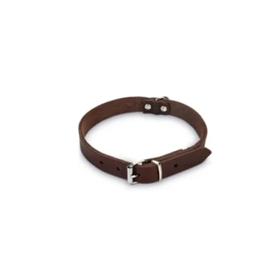 Afbeelding van Beeztees Halsband Hond Leer Bruin 37,5 46,5 cm x 20 mm