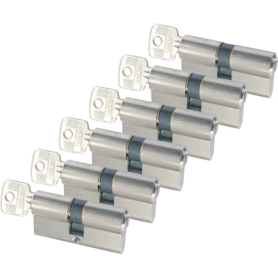 Afbeelding van Cilinder Starx 6 stuks (Dubbel, Gelijksluitend, SKG**, 30/30 mm, Vernikkeld, 18 sleutels)