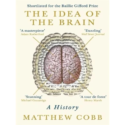 Image de the Idea of Brain