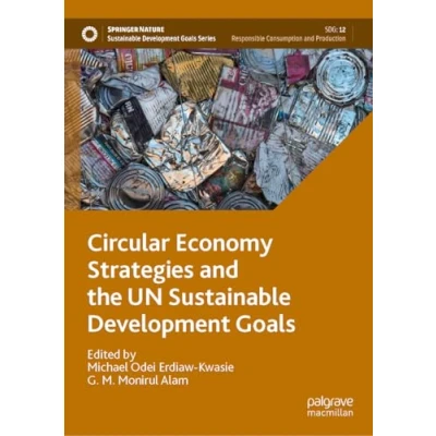 Afbeelding van Sustainable Development Goals Series Circular Economy Strategies and the UN