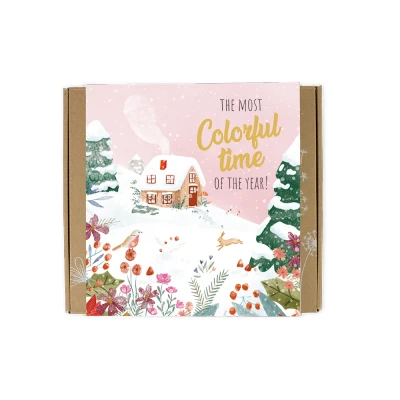 Afbeelding van Blossombs Bloembommetjes Giftbox Medium 9 Zaadbommetjes Xmas Winter Landscape