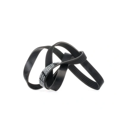 Afbeelding van Poly V riem DAYCO 5PK1175