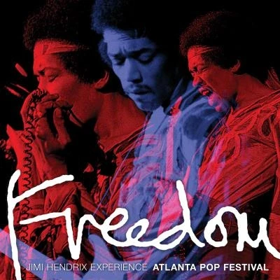 Afbeelding van Freedom: Atlanta Pop Festival (LP)