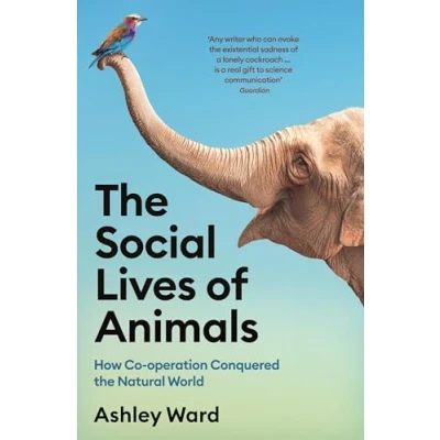 Afbeelding van The Social Lives of Animals