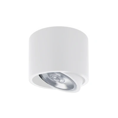 Afbeelding van Opbouwspot Rond AR111, Kantelbaar, GU10 Fitting, Mat Wit