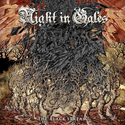 Afbeelding van Night In Gales The Black Stream (CD)