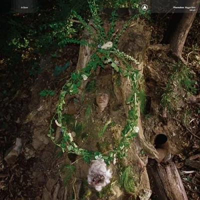 Afbeelding van Pharmakon Maggot Mass (LP)