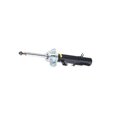 Image de 1 amortisseur monroe g8096