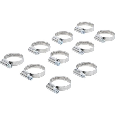 Afbeelding van BGS Slangklem roestvrij 20 x 32 mm 10 delig