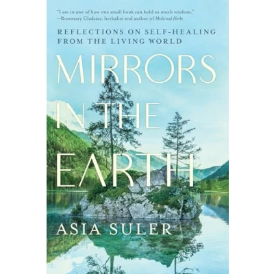 Afbeelding van Mirrors in the Earth