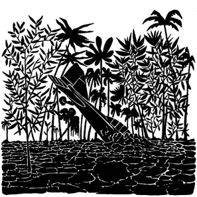 Afbeelding van Capitol K Birdtrapper (LP)