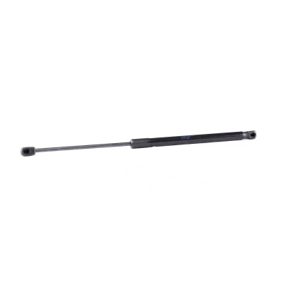 Afbeelding van Febi Bilstein Gasveer 31657
