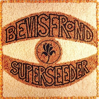 Afbeelding van Bevis Frond Superseeder (CD)