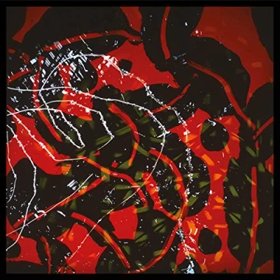 Afbeelding van Brian Eno Nerve Net (2 LPs)