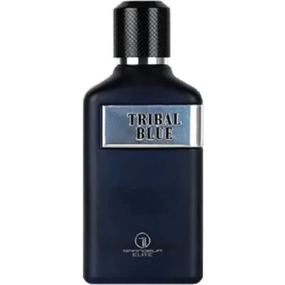 Afbeelding van GRANDEUR Perfume TRIBAL BLUE, 100ml