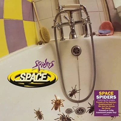 Afbeelding van Space Spiders (LP)