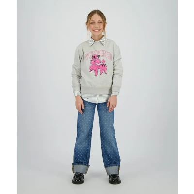 Afbeelding van Vingino Sweater Nirone Grijs dessin 152
