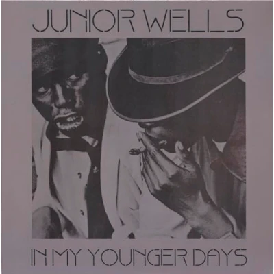 Afbeelding van Junior Wells In My Younger Days (LP) (Coloured Vinyl)