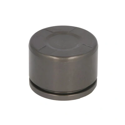 Afbeelding van AUTOFREN SEINSA D025662 Zuiger, remklauw 42 Achteras ATE