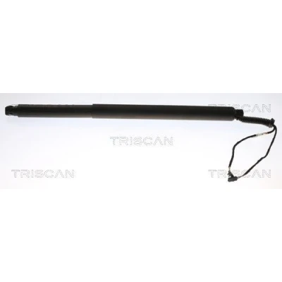 Afbeelding van Gasveer, kofferruimte TRISCAN 8710 29312