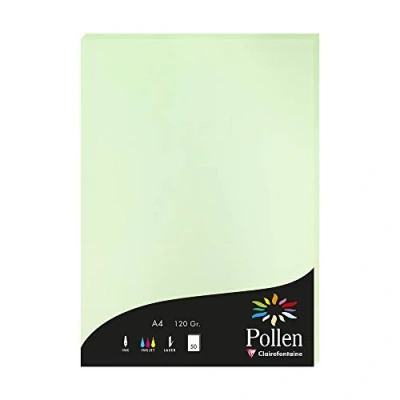 Image de Etui de 50 feuilles Pollen A4 Vert 120g