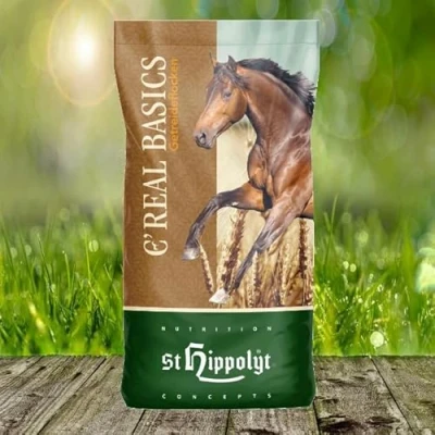 Afbeelding van St. Hippolyt C Real Basics Dynamic15 kg