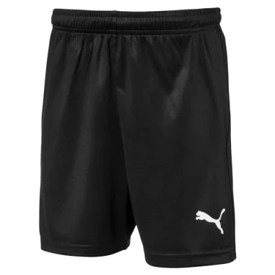 Afbeelding van Puma Liga Training Core, joggingshorts , uniseks kinderen, paars (prism paars/Puma wit) 8 jaar (fabrieksmaat: 128)