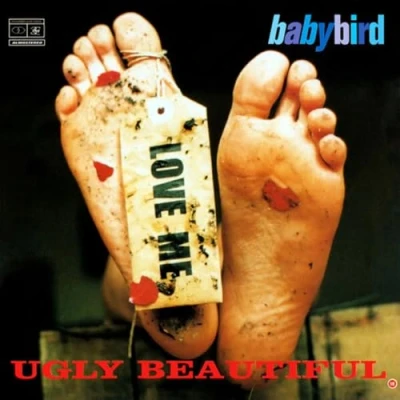 Afbeelding van Babybird Ugly Beautiful (LP)